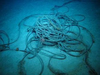 Steel wire rope on seabed